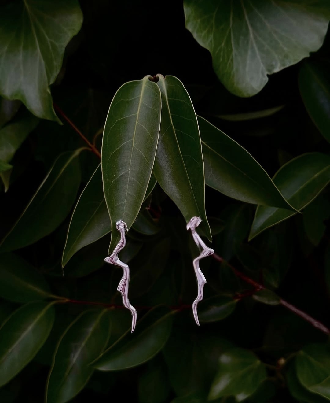 Wave earrings on leaves