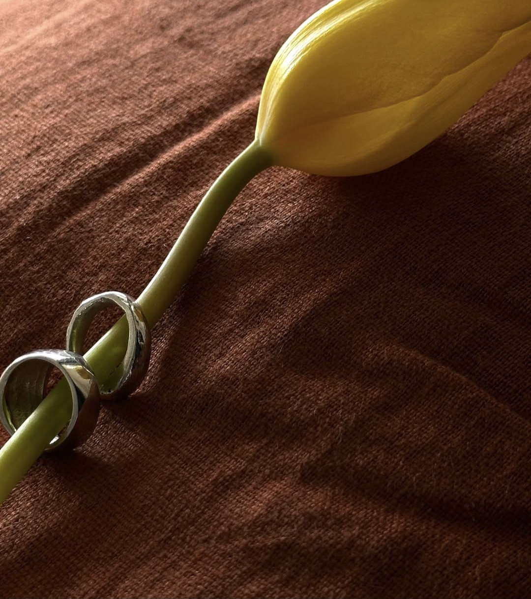 Rings on flower